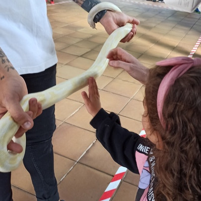 Serpiente