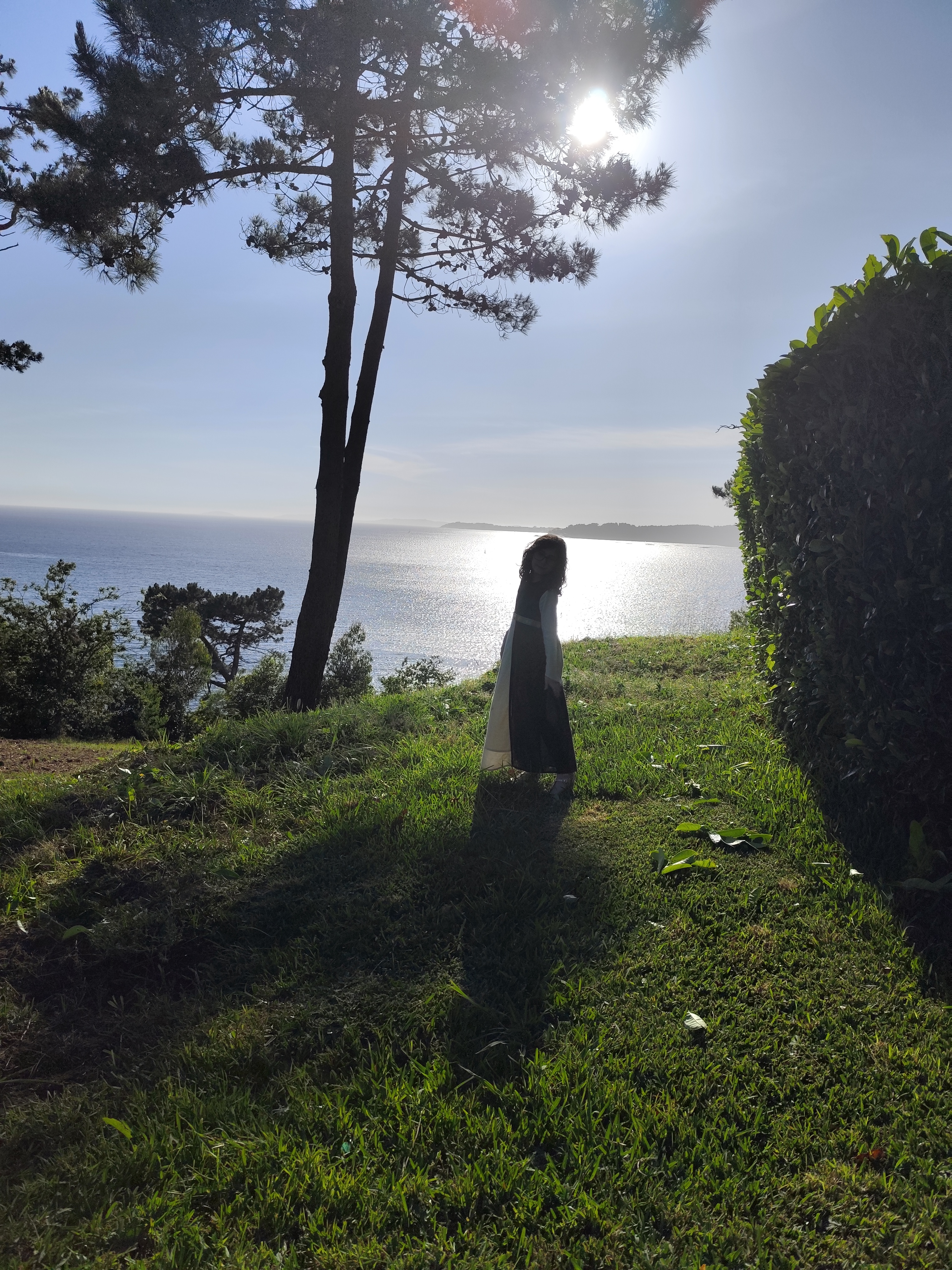 Vistas