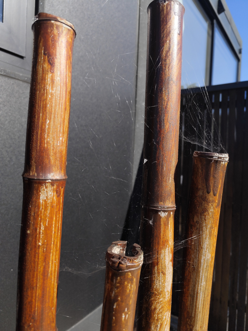 Telas de araña