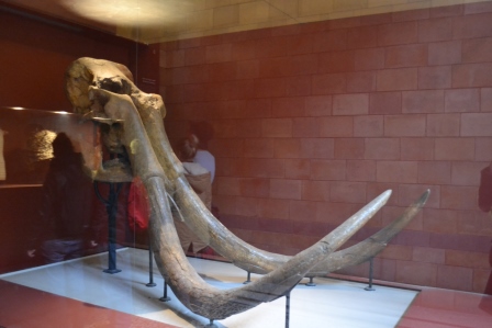 Mamut
