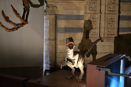 velocirraptor