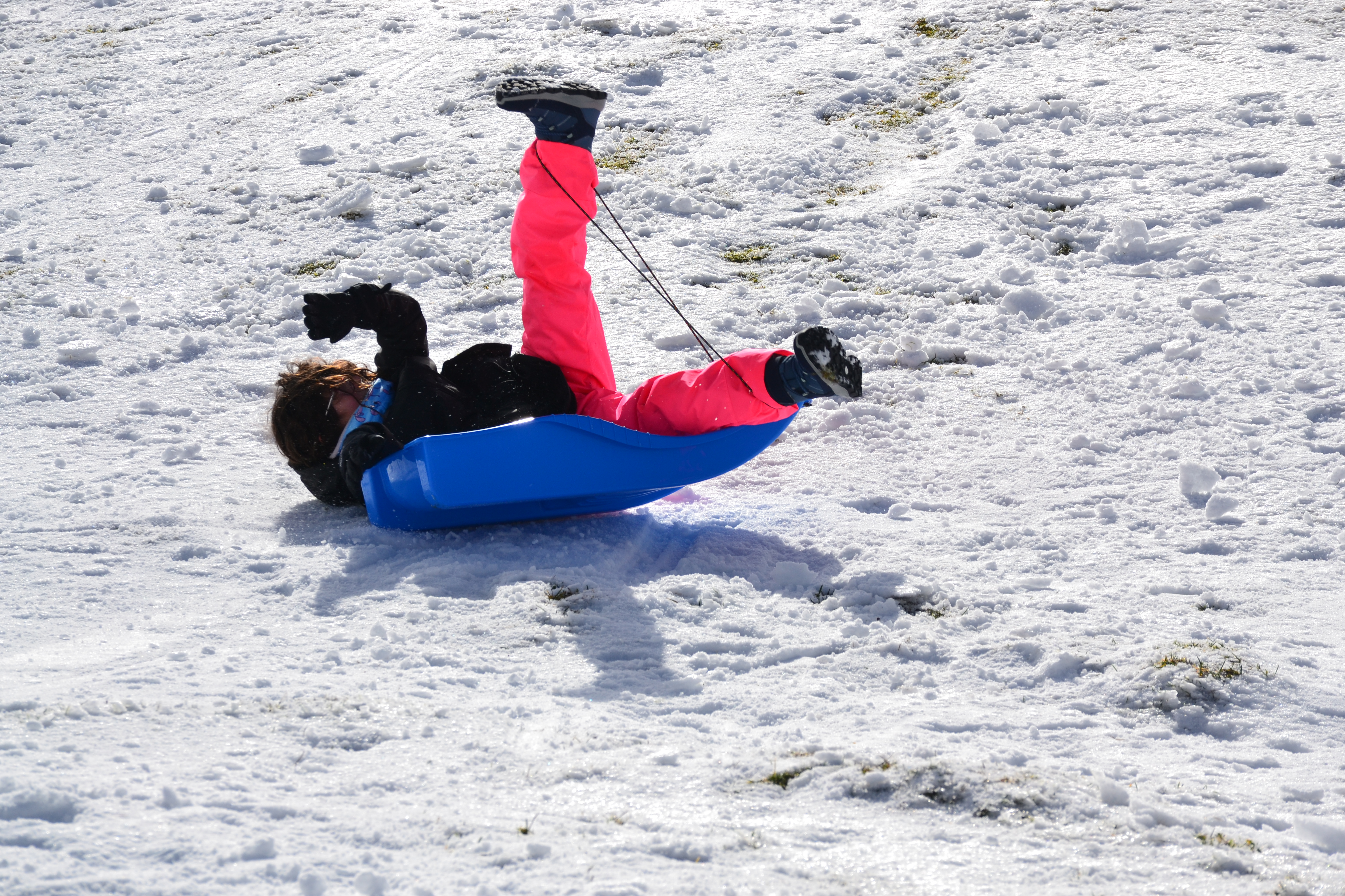 Nieve 2026