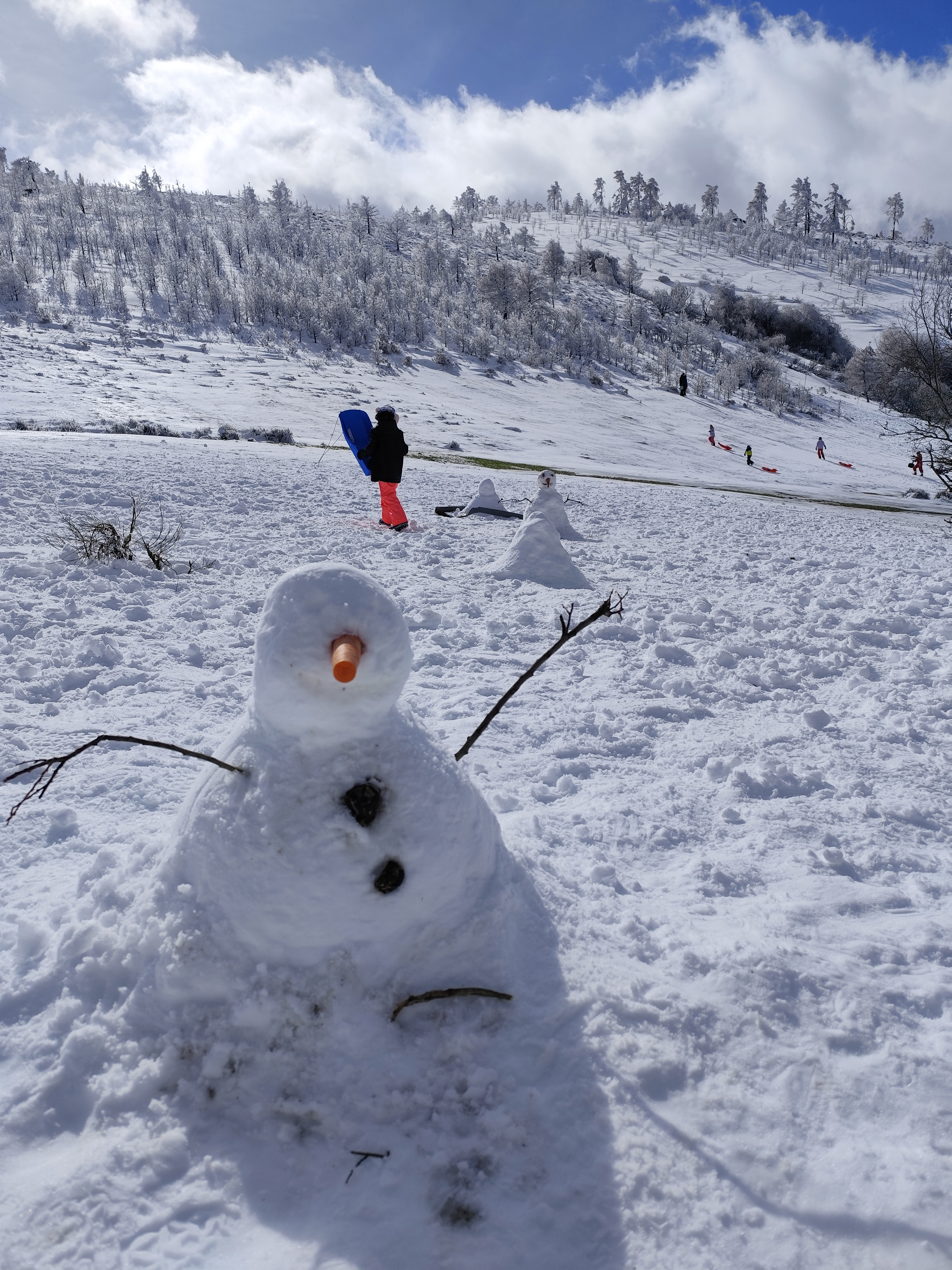 Nieve 2026