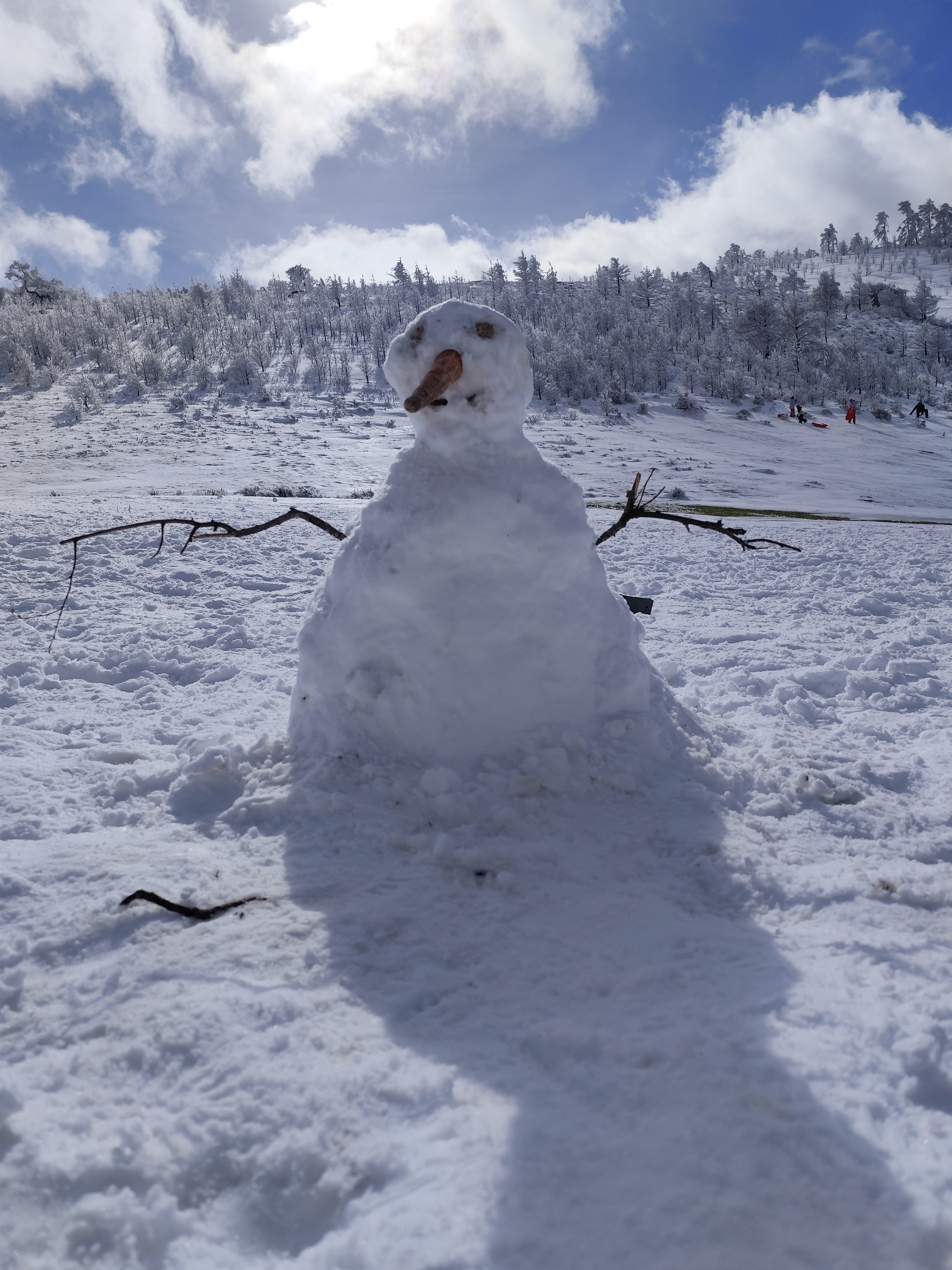 Nieve 2026