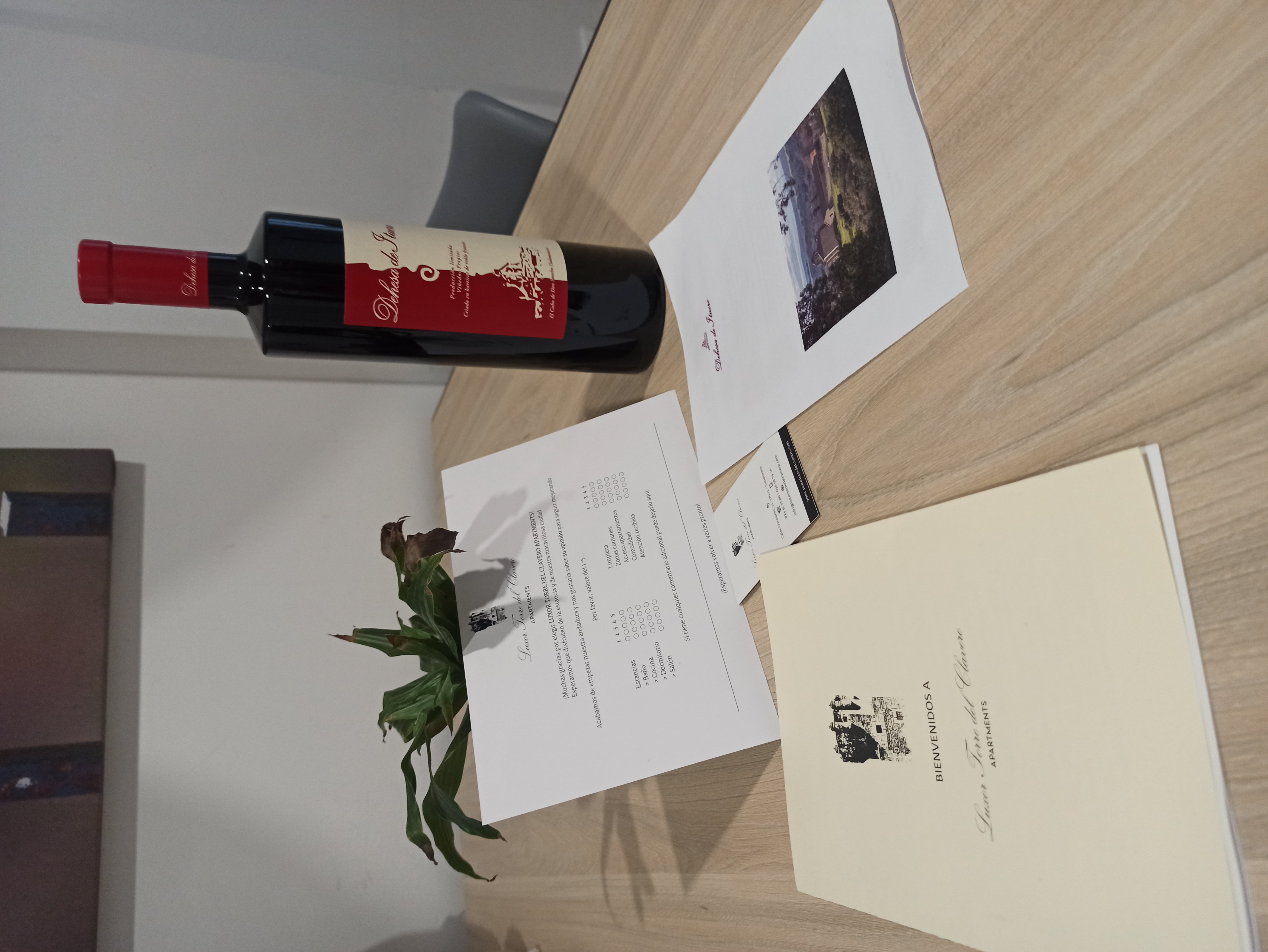 Bienvenida apartamento